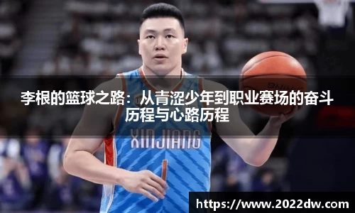 芒果体育官网入口