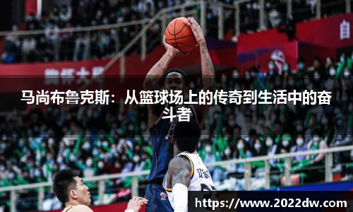 芒果体育官网入口